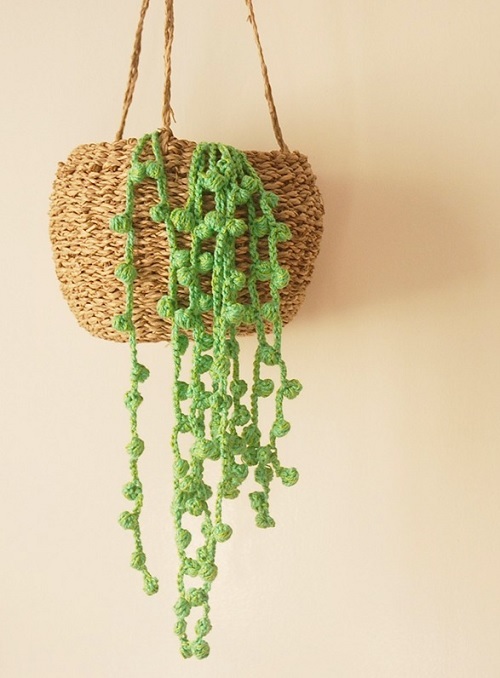 Crochet succulent 