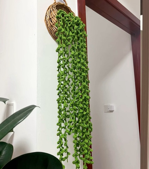 Crochet String of Pearls hanging succulent