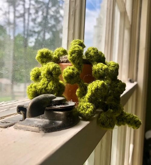 string of pearl