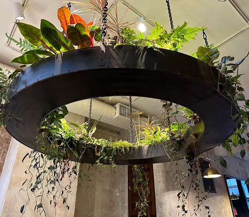 Hanging Living Chandeliers