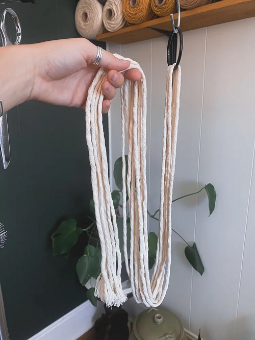 Beautiful Macramé Wall Planter