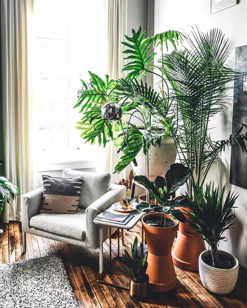 Indoor Plant Reading Nook Ideas You'll Love