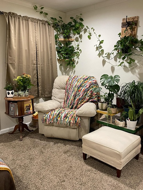 Indoor Plant Reading Nook Ideas You'll Love 2