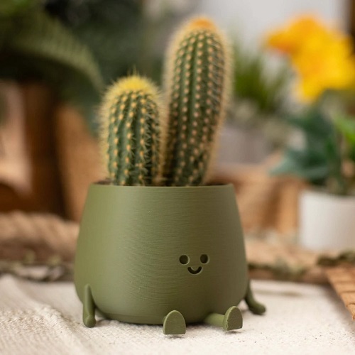 Self-Watering planter