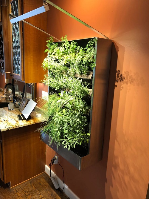 Vertical Garden And LED Grow Panels 