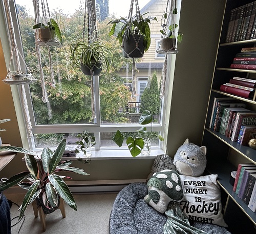 Windowsill Garden with Small Plants