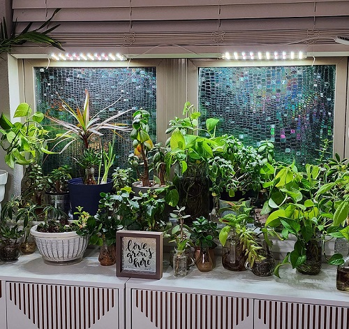 Windowsill garden And Grow Light Bars 