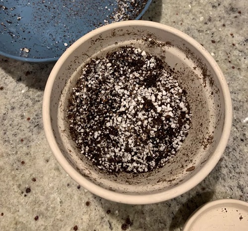 Coffee Grounds Trick 6