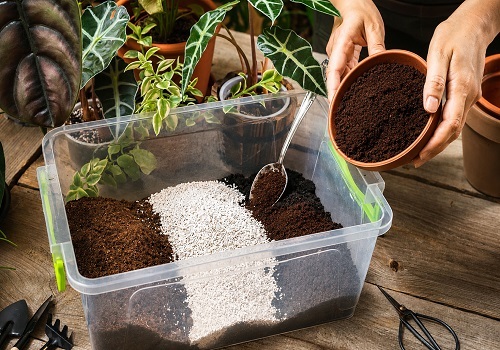 Coffee Grounds Trick 5