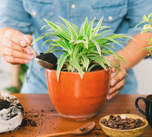 Coffee Grounds Trick 2
