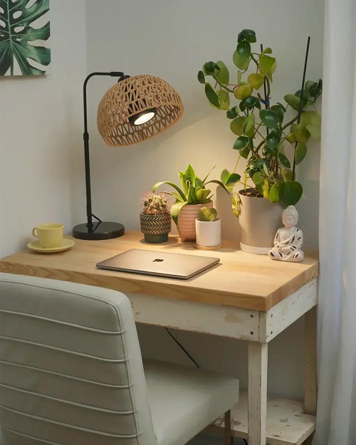 Study Room Plant Corner