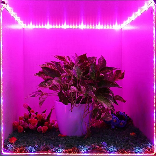 plant LED Strip Light 