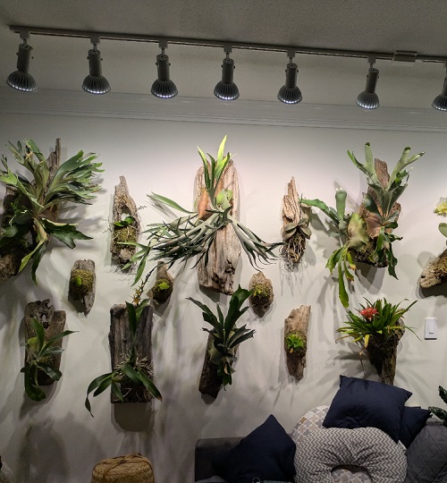 plant Smart Grow Lights