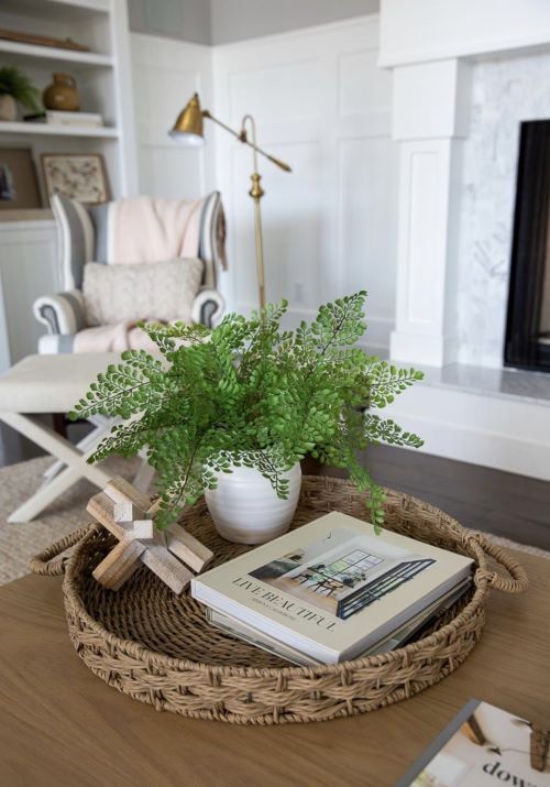 Plant on Coffee Table 1