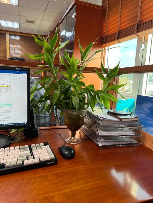 Desktop Botanical Companion