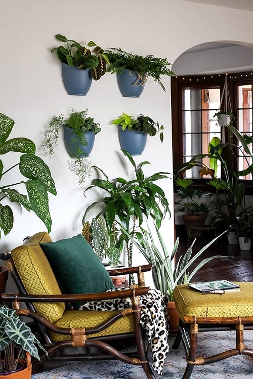 reading nook Plant Wall