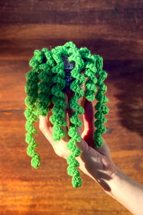 realistic succulent vines free crochet patterns