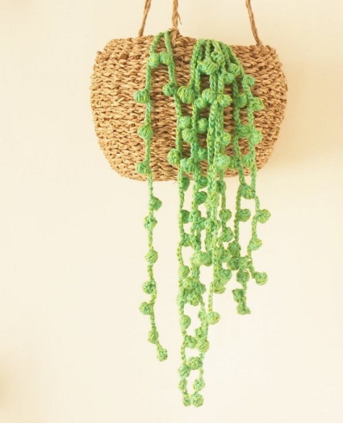 Free Crochet Succulent 