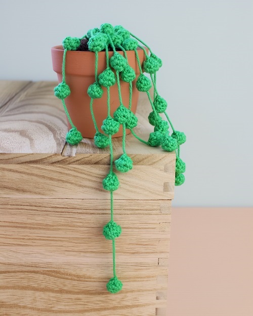 Crochet Succulents