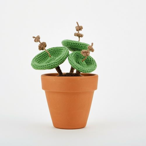 Crochet Succulents 12