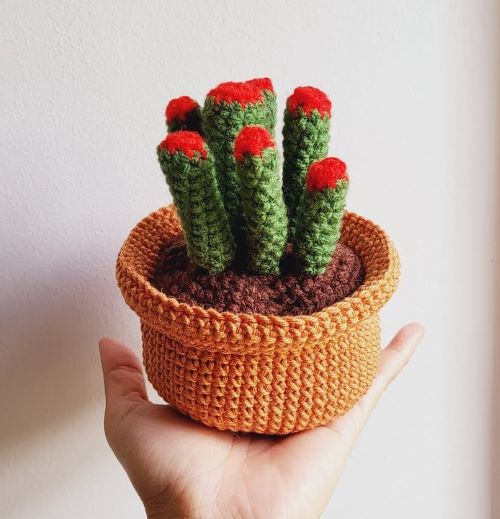 Crochet Succulents 13