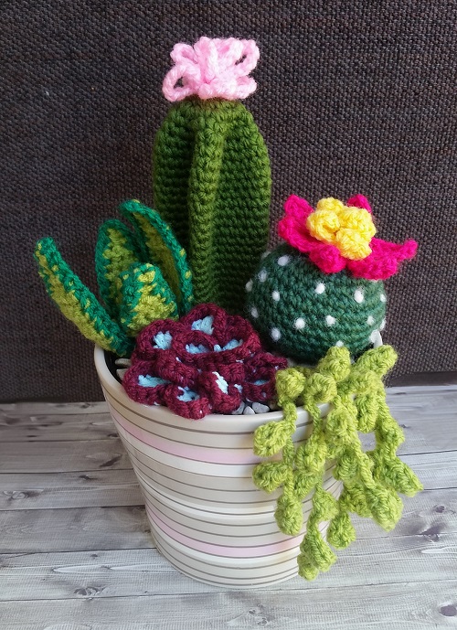 Crochet Succulents 3