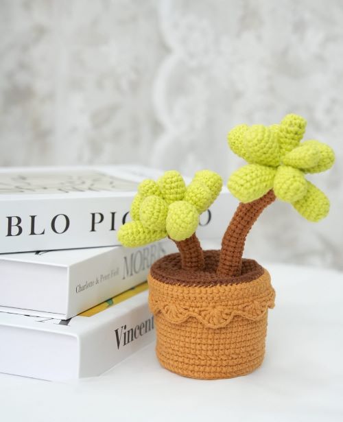 Crochet Succulents 4