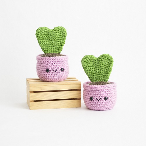 Crochet Succulents 5
