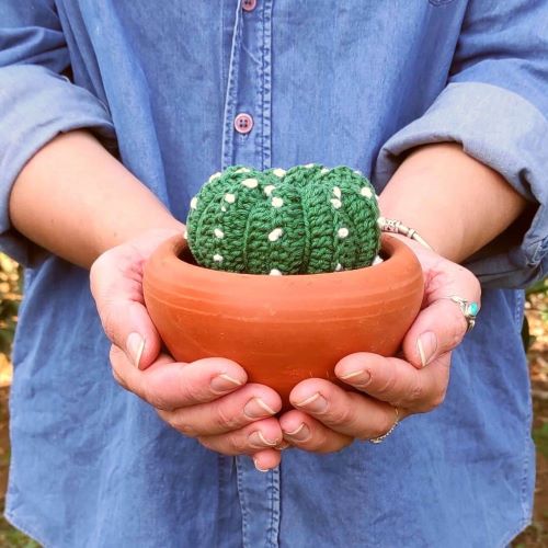 Crochet Succulents 6
