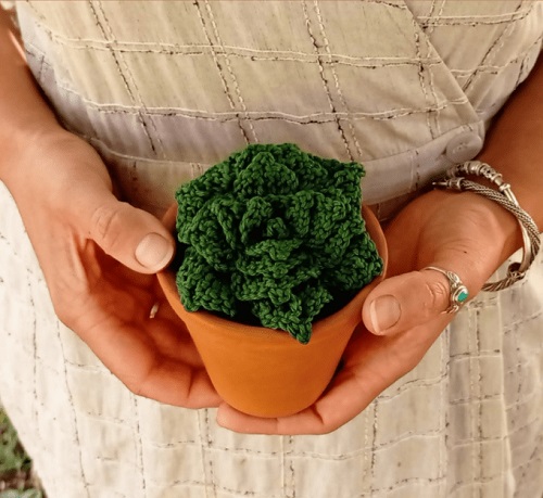 Crochet Succulents 7