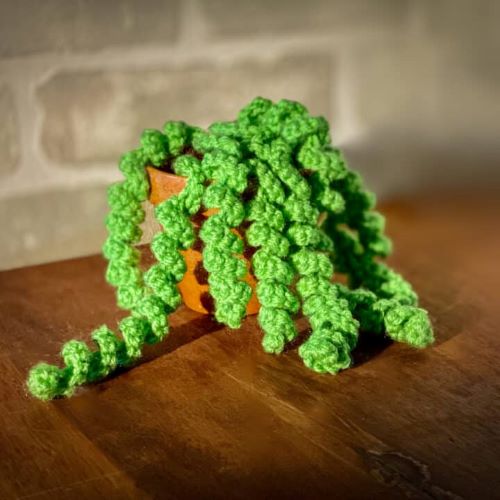 Crochet Succulents 8