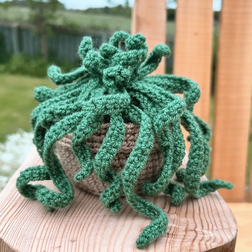 Crochet Succulents 9