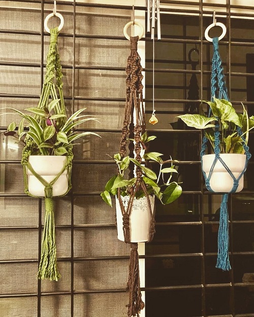 Hanging Macrame Planters
