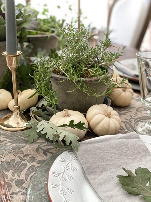 Plants That Make Your Thanksgiving Table Look Expensive