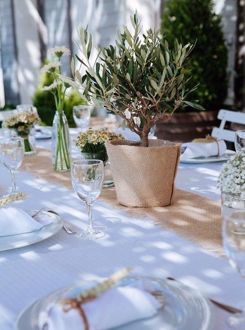 Thanksgiving Table Plants That Look Expensive