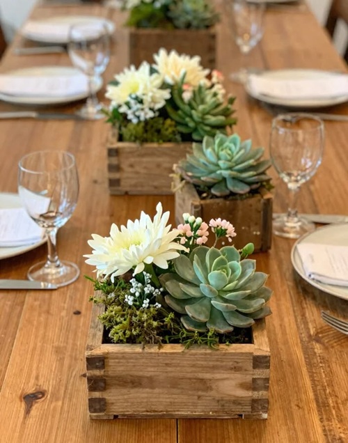 Chic Plants for Thanksgiving Table Decor