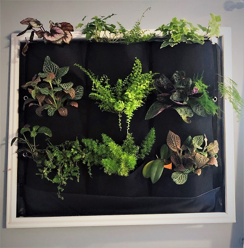 Pocket Planters