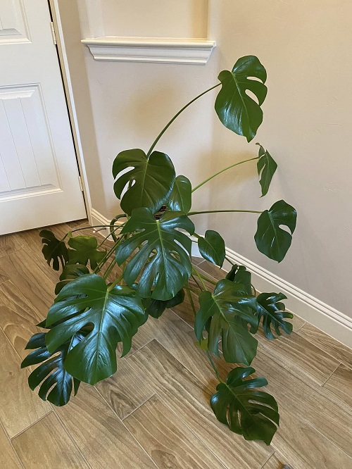  Why Does This Happen So Much Indoors
