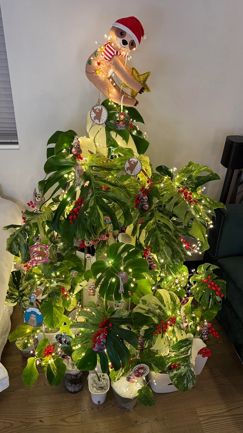 Festive Monstera Christmas Décor Ideas To Try 3