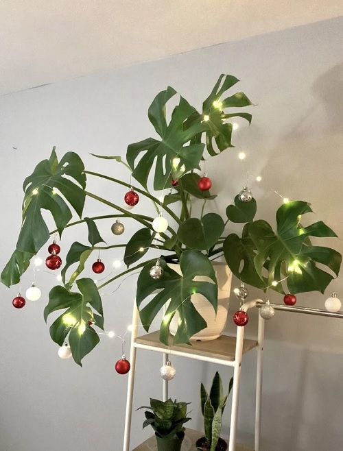 Festive Monstera Christmas Décor Ideas To Try 2