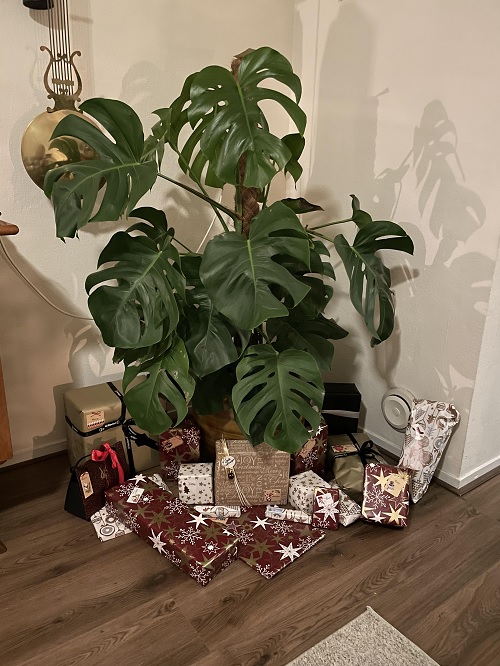 Monstera Christmas Décoration 2