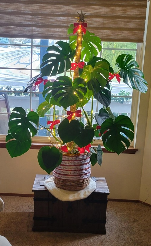 Festive Monstera Christmas Décor Ideas To Try 1