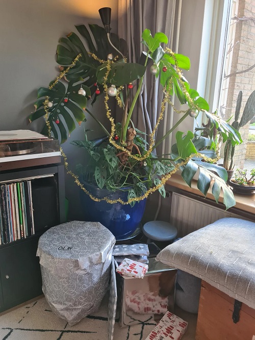 Monstera Christmas Décoration 5