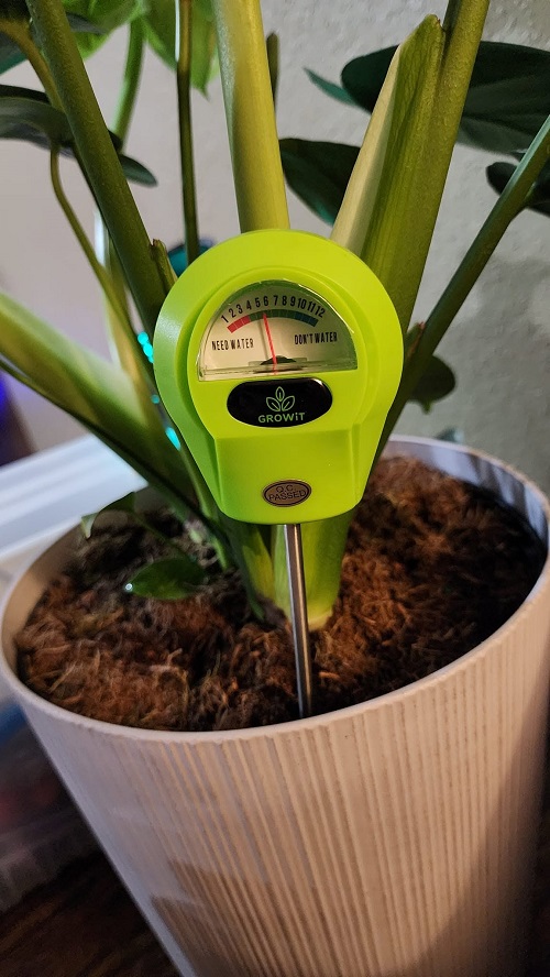 monstera moisture meter