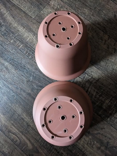 Check the Pot