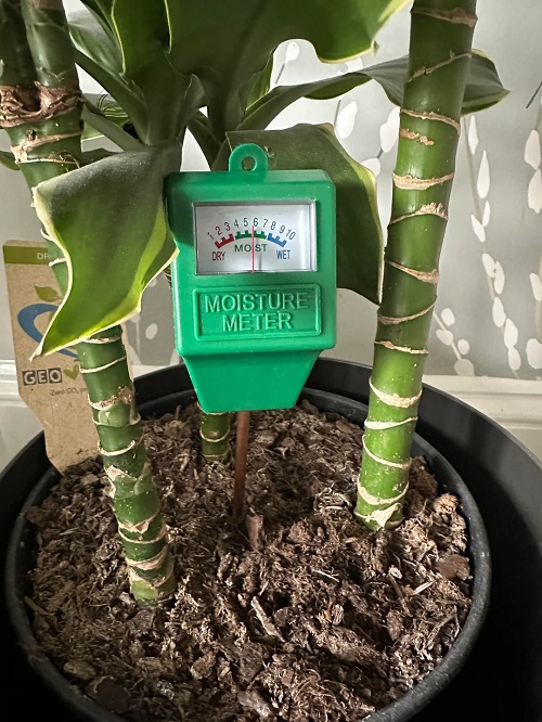 Soil Moisture