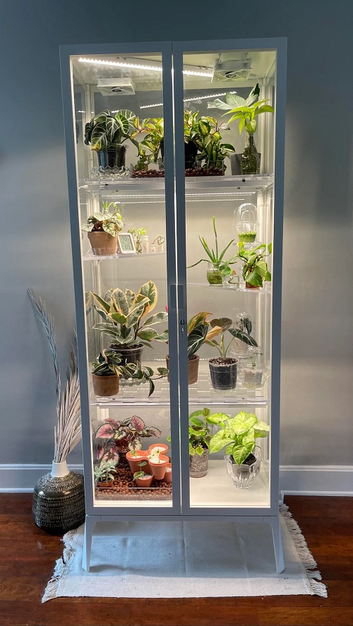Indoor Plant Cabinet Setup