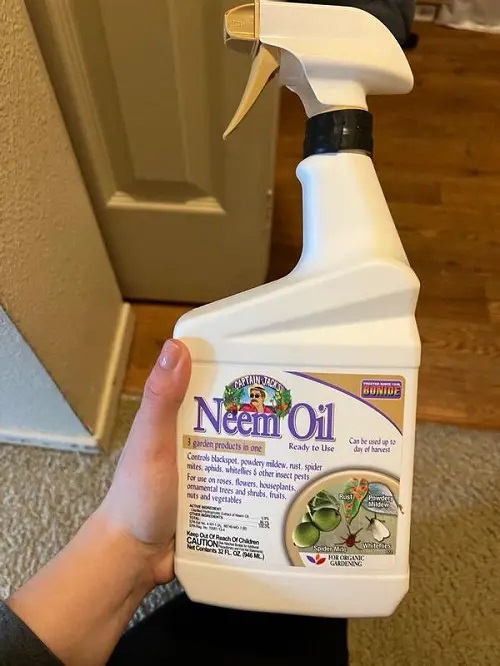 Neem Oil