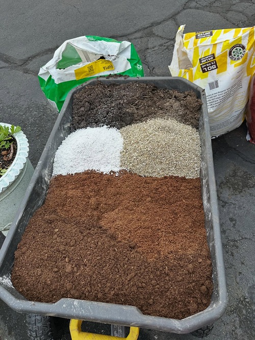 potting mix